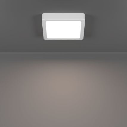 Eglo - LED lampa sufitowa LED/7W/230V 2700/4000/6500K 15x15 cm biała