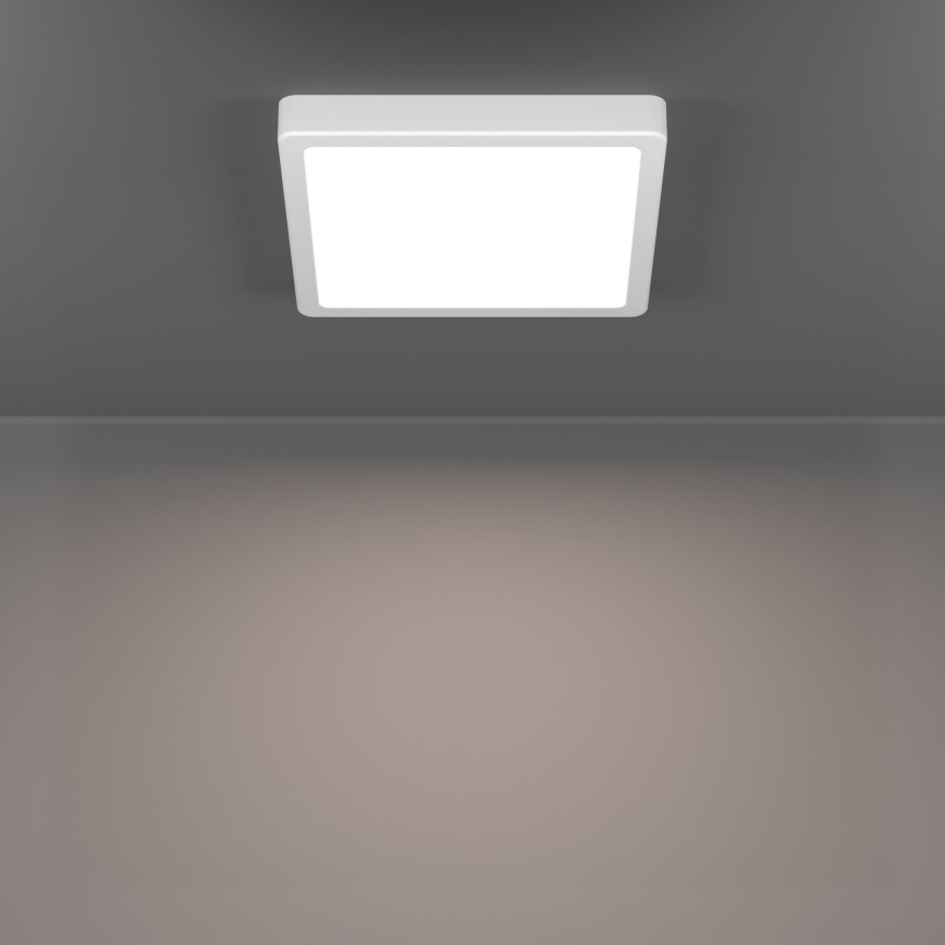 Eglo - Lampa sufitowa LED/10,5W/230V 2700/4000/6500K 22x22 cm biała