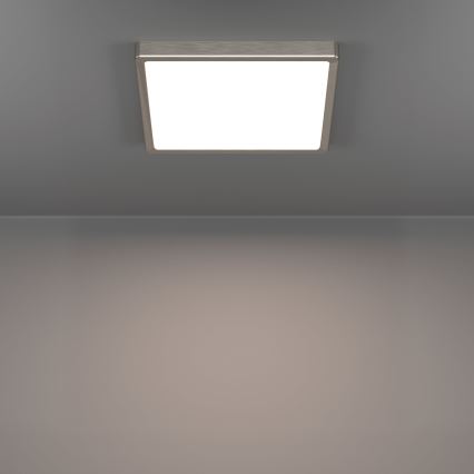 Eglo - Lampa sufitowa LED/13W/230V 2700/4000/6500K 29x29 cm matowy chrom