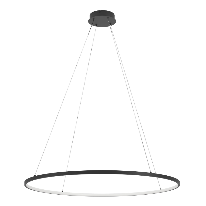 Eglo - LED Żyrandol ściemnialny na lince LED/40W/230V 2700-6500K czarny + pilot zdalnego sterowania
