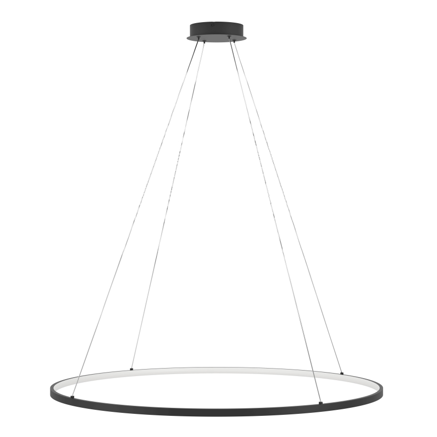 Eglo - LED Żyrandol ściemnialny na lince LED/40W/230V 2700-6500K czarny + pilot zdalnego sterowania