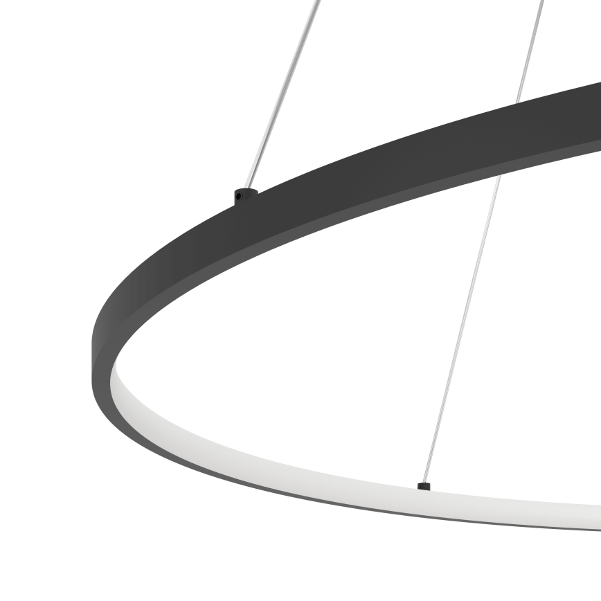 Eglo - LED Żyrandol ściemnialny na lince LED/40W/230V 2700-6500K czarny + pilot zdalnego sterowania
