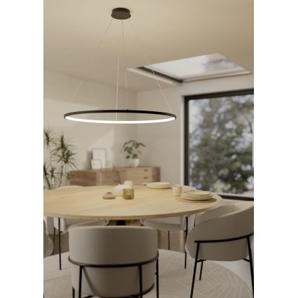 Eglo - LED Żyrandol ściemnialny na lince LED/40W/230V 2700-6500K czarny + pilot zdalnego sterowania