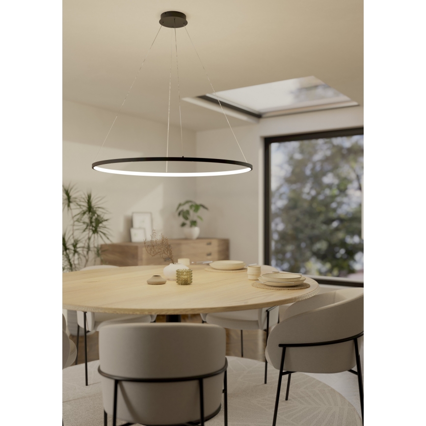 Eglo - LED Żyrandol ściemnialny na lince LED/40W/230V 2700-6500K czarny + pilot zdalnego sterowania
