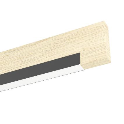 Eglo - LED Plafon ściemnialny 2xLED/10W/230V 3000K czarny/beżowy