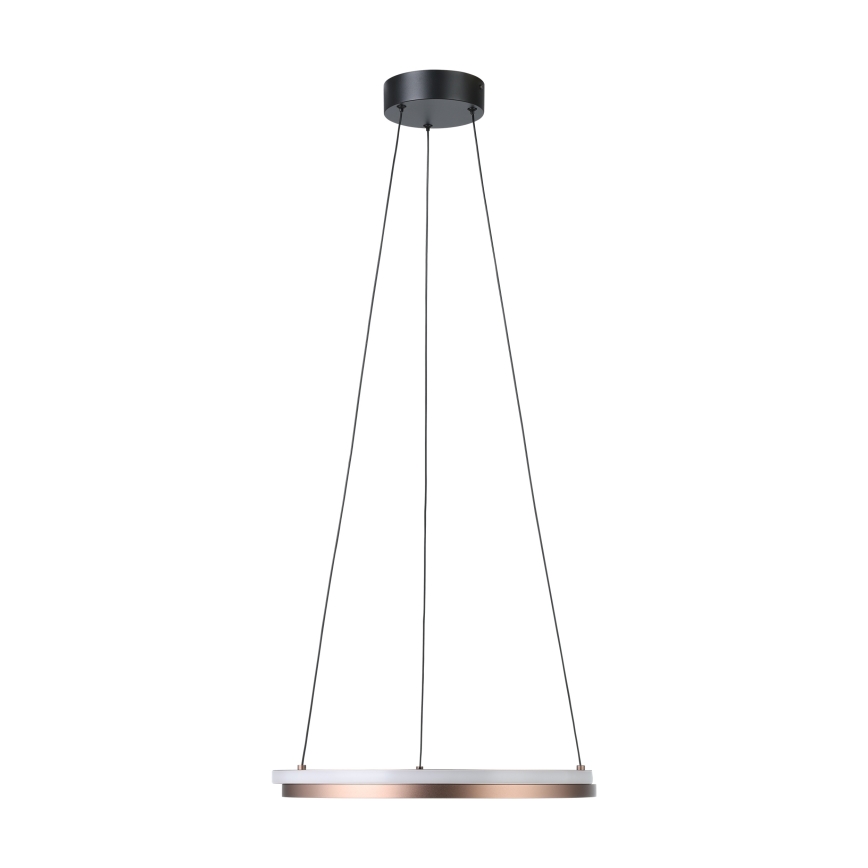 Eglo - ściemnialny żyrandol LED na linkach 2xLED/20W/230V 2700-6500K śr. 48 cm brązowy + pilot zdalnego sterowania