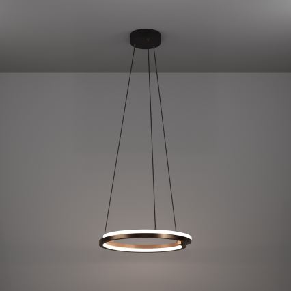 Eglo - ściemnialny żyrandol LED na linkach 2xLED/20W/230V 2700-6500K śr. 48 cm brązowy + pilot zdalnego sterowania