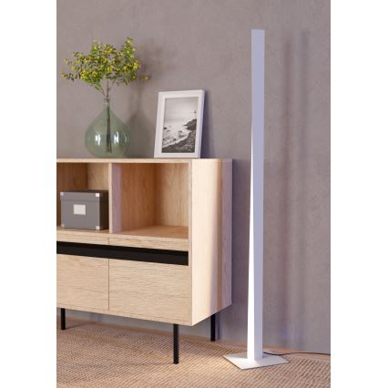 Eglo - Ściemnialna lampa stojąca LED RGBW LED/10,5W/230V + LED/15,2W szara