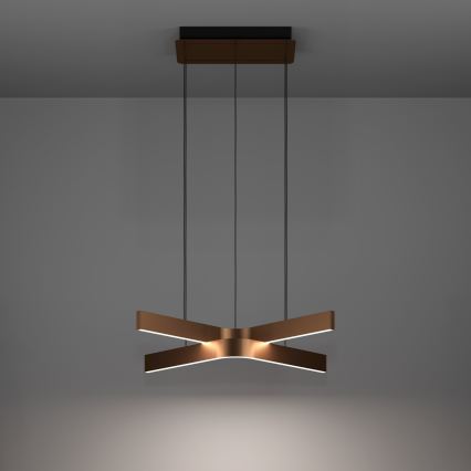 Eglo - LED RGBW ściemnialny żyrandol na linkach 2xLED/18W/230V miedziany/czarny