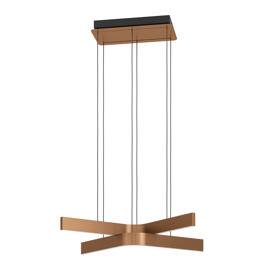 Eglo - LED RGBW ściemnialna lampa wisząca na lince 2xLED/18W/230V miedziano-czarna