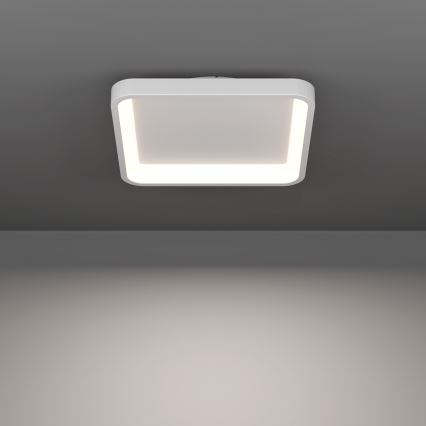 Eglo - LED RGBW ściemnialna lampa sufitowa LED/20W/230V 2700-6500K 35x35 cm biała