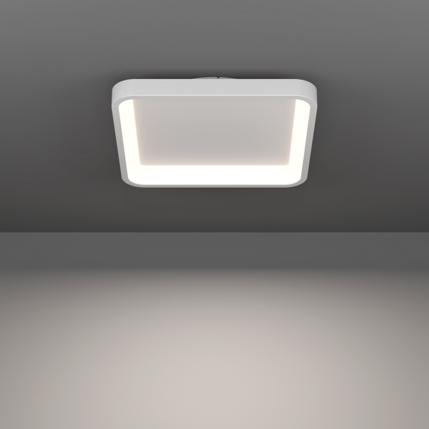 Eglo - LED RGBW ściemnialna lampa sufitowa LED/20W/230V 2700-6500K 35x35 cm biała