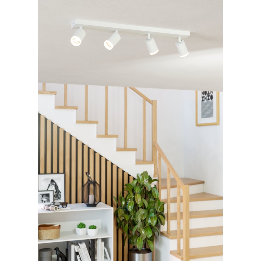 Eglo - LED RGBW ściemnialna oprawa punktowa 4xLED/3,7W/230V 2700-6500K biały