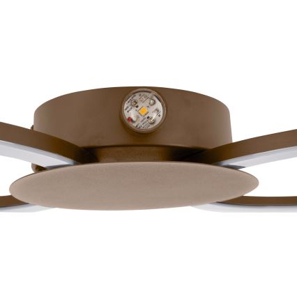 Eglo - LED Oprawa ścienna LED/20W/230V + LED/0,91W beżowy