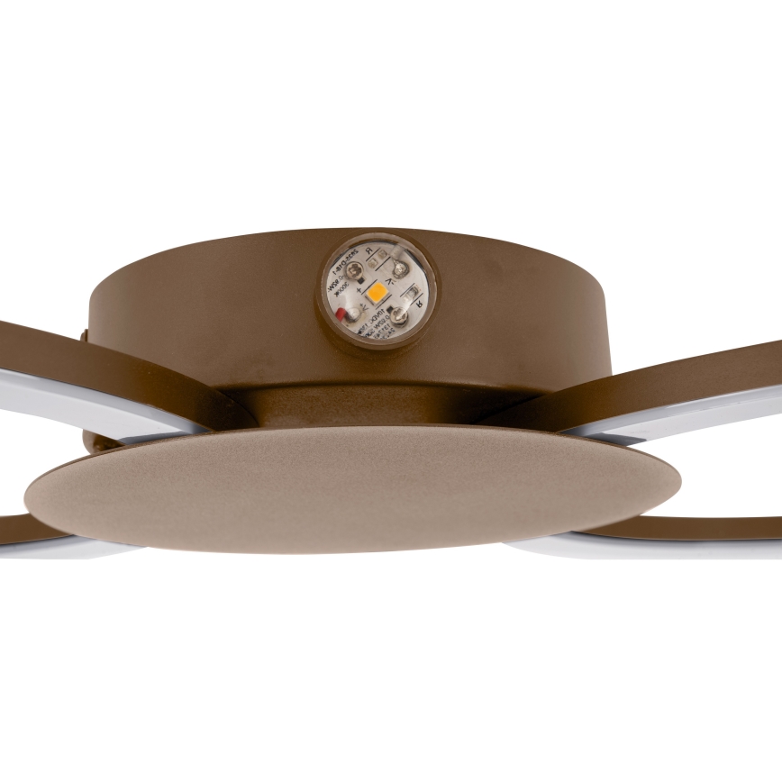 Eglo - LED Oprawa ścienna LED/20W/230V + LED/0,91W beżowy