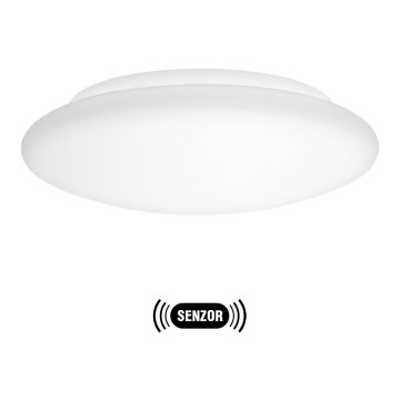 EGLO 91848 - Lampa Plafon Kinkiet LED ELLA 1xLED/18W biały/opalone szkło