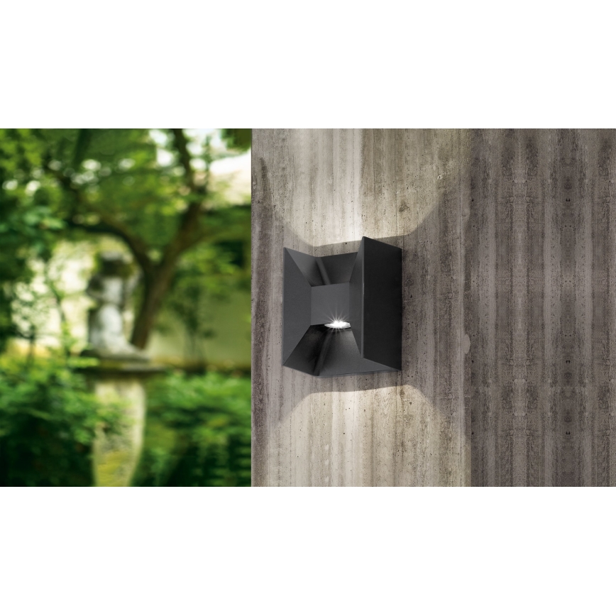 Eglo - LED lampa  zewnętrzna 2xLED/2,5W/230V