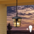 Eglo 93406 - LED żyrandol zewnętrzny ALORIA 1xE27/8,5W/230V IP44