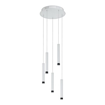 Eglo 93798 - LED lampa wisząca RAPARO 5xLED/5W/230V
