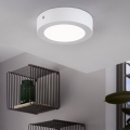 Eglo 94072 - LED lampa sufitowa FUEVA 1 LED/10,89W/230V śr. 17 cm