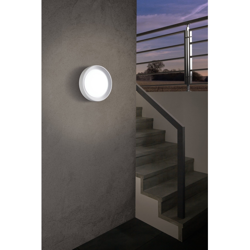 Eglo - LED Oświetlenie zewnętrzne 1xLED/8,2W/230V