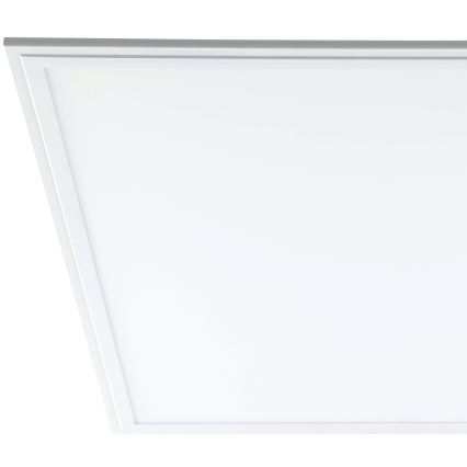 Eglo - LED panel sufitowy LED/40W/230V