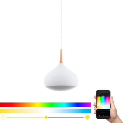 Eglo 97087 - LED RGBW ściemnialna lampa wisząca COMBA-C LED/18W/230V