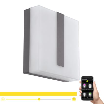 Eglo - LED Ściemnialny kinkiet zewnętrzny TORAZZA-C LED/14W/230V