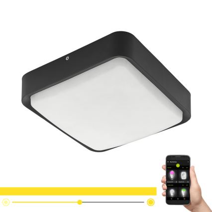 Eglo - LED regulowane zewnętrzne oświetlenie sufitowe LED/14,6W/230V