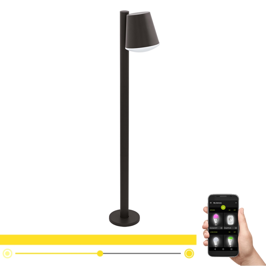 Eglo - LED RGB Ściemnialna lampa zewnętrzna CALDIERO-C 1xE27/9W/230V antracyt IP44