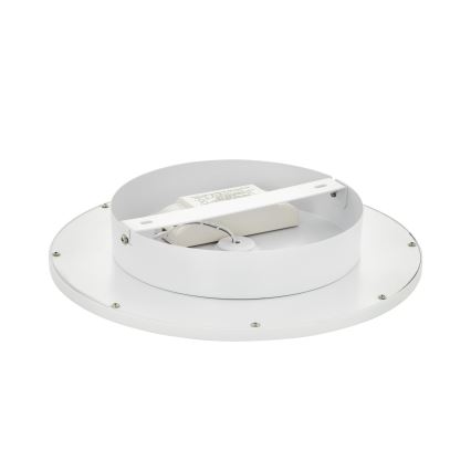 Eglo - LED Plafon ściemnialny 1xLED/17W/230V