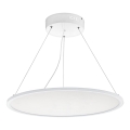 Eglo 97505 - LED ściemnialna lampa wisząca na lince SARSINA LED/36W/230V