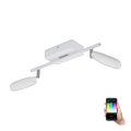 Eglo 97692 - Oprawa punktowa LED RGB PALOMBARE-C 2xLED/5W/230V