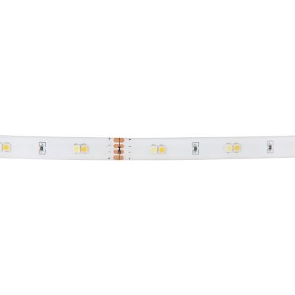 Eglo - RGB LED Taśma ściemnialna LED/10W/230V IP20 2m