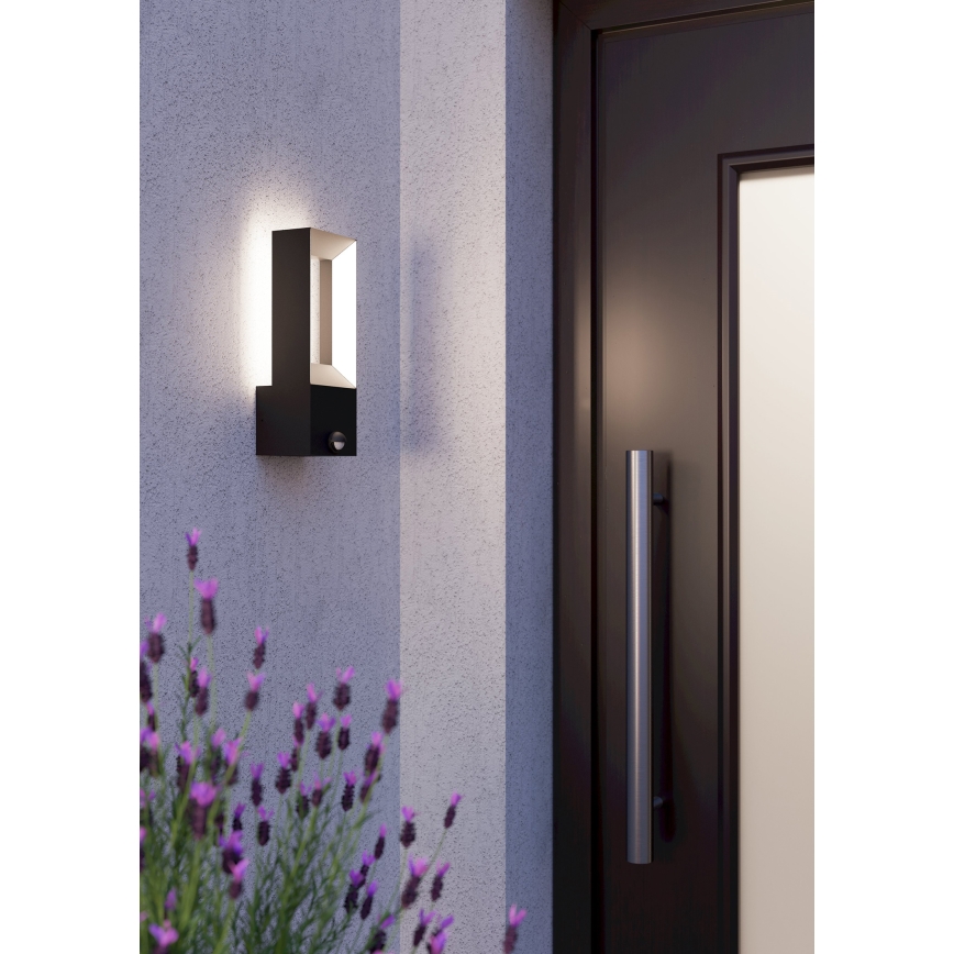 Eglo - LED Lampa zewnętrzna z czujnikiem 2xLED/5W/230V IP44