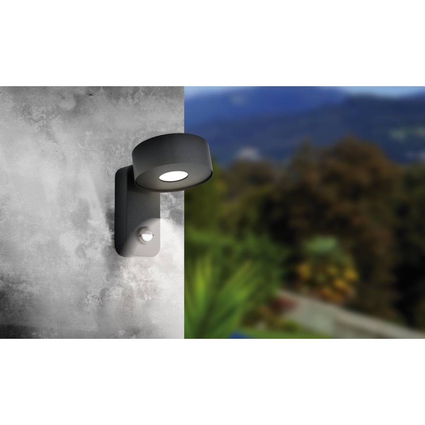Eglo - LED Kinkiet zewnętrzny z czujnikiem LED/6W/230V IP44