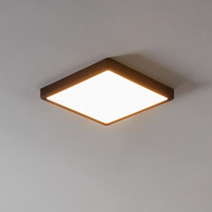 Eglo - LED Ściemnialna lampa łazienkowa LED/19,5W/230V IP44 ZigBee 28,5x28,5 cm