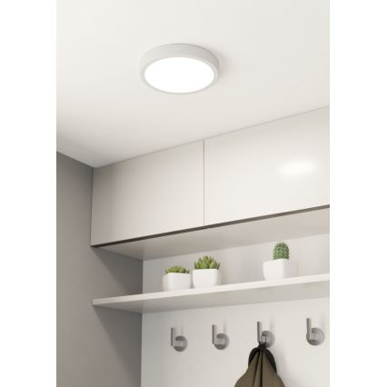 Eglo - LED Plafon ściemnialny LED/16,5W/230V