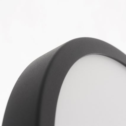 Eglo - LED plafon łazienkowy LED/20W/230V IP44 śr. 28,5 cm