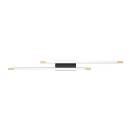Eglo - LED Plafon ściemnialny 2xLED/10W/230V