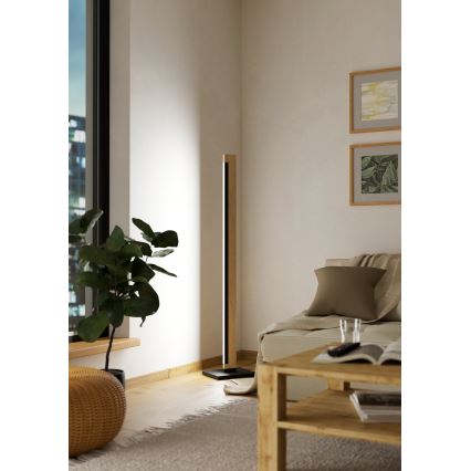 Eglo - LED Ściemnialna dotykowa lampa podłogowa CAMACHO LED/22W/230V
