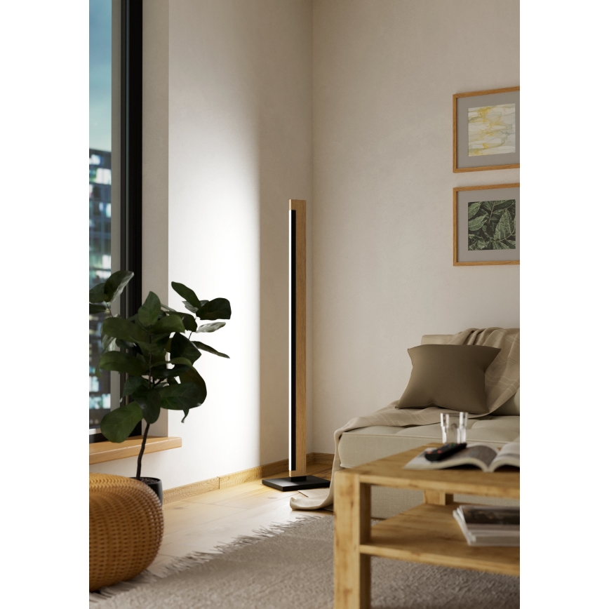 Eglo - LED Ściemnialna dotykowa lampa podłogowa CAMACHO LED/22W/230V