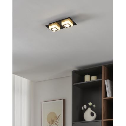 Eglo 99362 - Lampa sufitowa LED MASIANO 2xLED/3,3W/230V