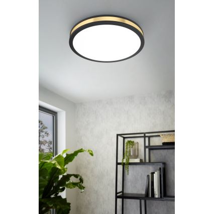 Eglo - LED Plafon LED/24W/230V