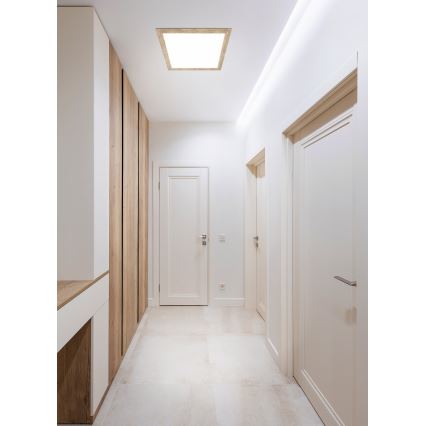 Eglo - LED Plafon LED/32W/230V 645x645 mm
