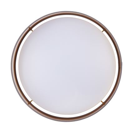 Eglo - LED Plafon LED/24W/230V