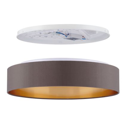 Eglo - LED Plafon LED/24W/230V