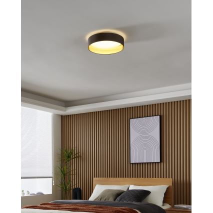 Eglo - LED Plafon LED/24W/230V