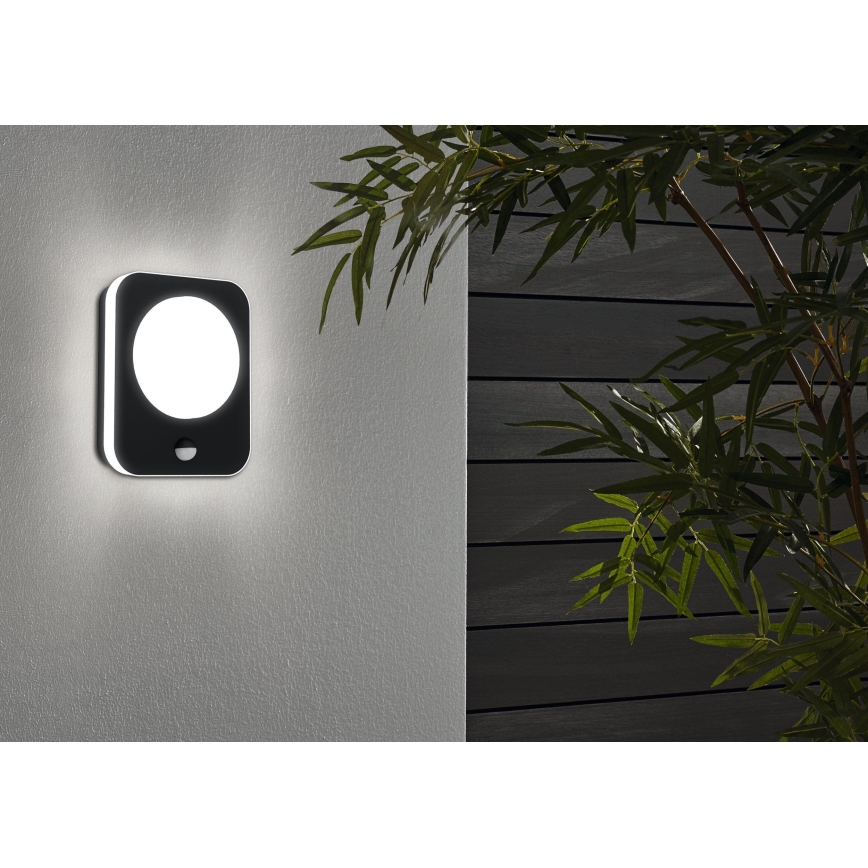 Eglo - LED Kinkiet zewnętrzny z czujnikiem LED/9W/230V IP44