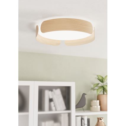 Eglo - LED Plafon LED/24W/230V